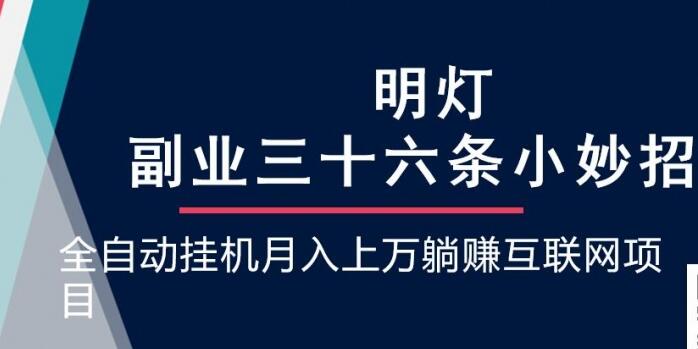 明灯副业三十六条小妙招之第19招全自动挂机月入上万躺赚互联网-蜗牛学社