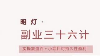 明灯副业三十六条小妙招之第23招实操复盘百＋小项目可持久性盈利-蜗牛学社