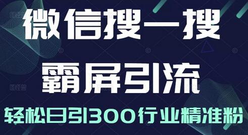 微信搜一搜霸屏引流课，打造被动精准引流系统，轻松日引300行业精准粉【无水印】-鲤鱼笔记