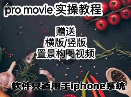 漆十二美食摄影，25​节promovie实操高手课节-蜗牛学社