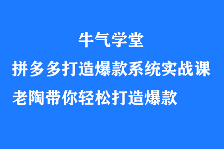 牛气学堂拼多多打造爆款系统实战课，老陶带你轻松打造爆款-蜗牛学社