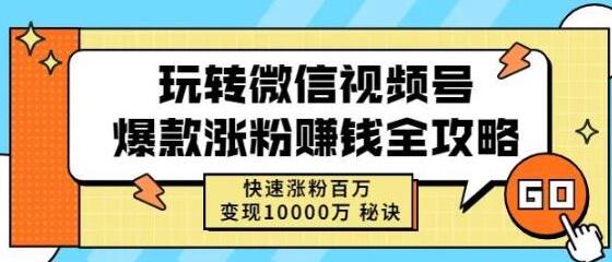 玩转微信视频号爆款涨粉赚钱全攻略，快速涨粉百万变现万元秘诀-蜗牛学社