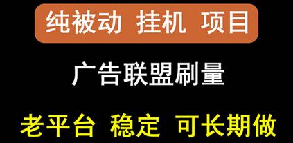 【稳定挂机】oneptp出海广告联盟挂机项目，每天躺赚几块钱，多台批量多赚些-蜗牛学社