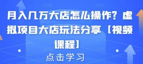 月入几万大店怎么操作？虚拟项目大店玩法分享【视频课程】-蜗牛学社