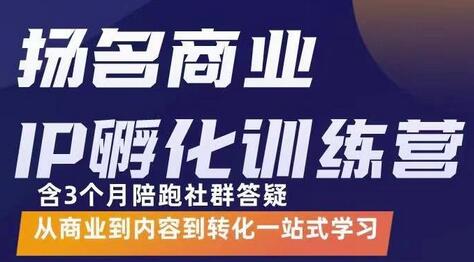 杨名商业IP孵化训练营，从商业到内容到转化一站式学 价值5980元-蜗牛学社