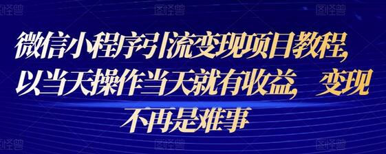 微信小程序引流变现项目教程，以当天操作当天就有收益，变现不再是难事-蜗牛学社