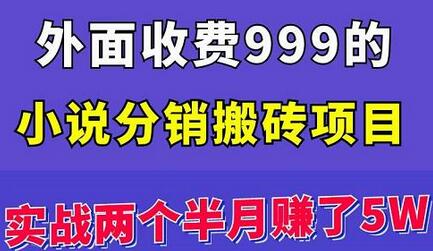 外面收费999的小说分销搬砖项目：实战两个半月赚了5W块，操作简单！-蜗牛学社