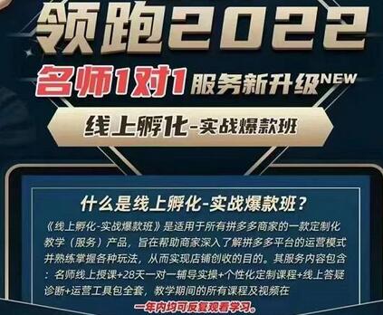 牛气学堂老陶电商【第9期】，拼多多名师线上领跑28天，线上孵化-实战爆款班-蜗牛学社