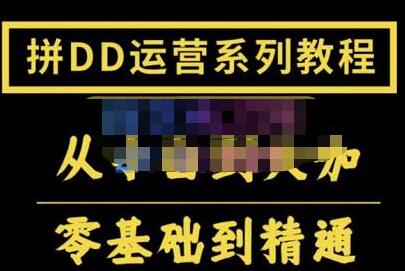 2022全套拼多多核心实操课程，从0-1轻松起链接实战，低投入高产出运作店铺-蜗牛学社