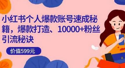 小红书个人爆款账号速成秘籍，爆款打造、10000+粉丝引流秘诀-蜗牛学社