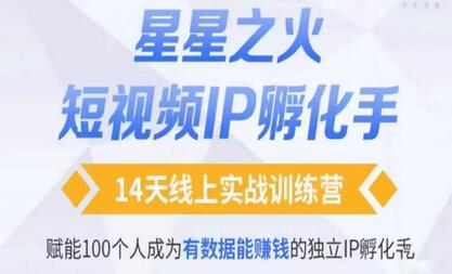 瑶瑶·自然流短视频IP孵化第二期，14天线上实战训练营，赋能100个人成为有数据能赚钱的独立IP孵化手-鲤鱼笔记