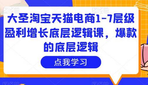 大圣淘宝天猫电商1-7层级盈利增长底层逻辑课，爆款的底层逻辑-鲤鱼笔记