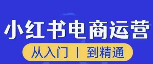 顽石小红书电商高阶运营课程，从入门到精通，玩法流程持续更新-鲤鱼笔记