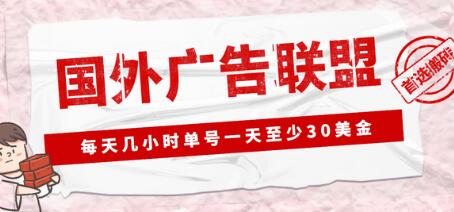 外面收费1980的最新国外LEAD广告联盟搬砖项目，单号一天至少30美金【详细玩法教程】-鲤鱼笔记