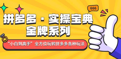 拼多多·实操宝典：金牌系列“小白到高手”带你全方位玩转拼多多各种玩法-鲤鱼笔记