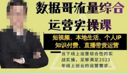 数据哥流量综合运营实操课：短视频、本地生活、个人IP知识付费、直播带货运营-鲤鱼笔记