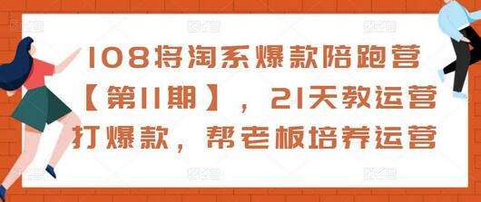 108将淘系爆款陪跑营【第11期】，21天教运营打爆款，帮老板培养运营-鲤鱼笔记