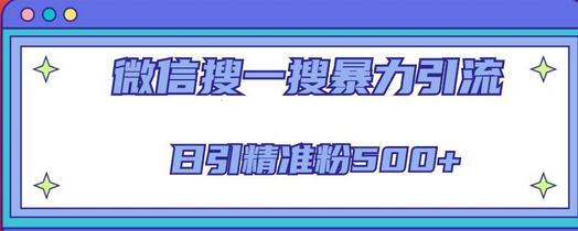 微信搜一搜引流全系列课程，日引精准粉500+（8节课）-鲤鱼笔记