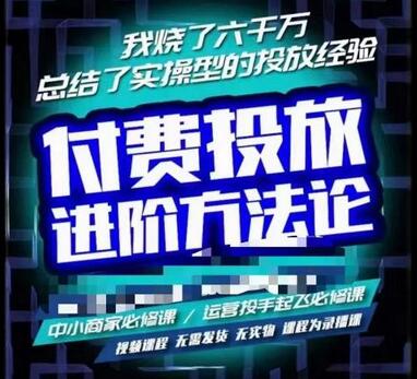 苏酒儿·抖音付费投放进阶课程，烧了六千万总结了实操型投放经验，运营投手起飞必修课-鲤鱼笔记