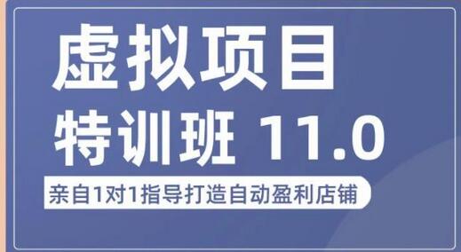 陆明明·虚拟项目特训班（10.0+11.0），0成本获取虚拟素材，0基础打造自动盈利店铺-鲤鱼笔记