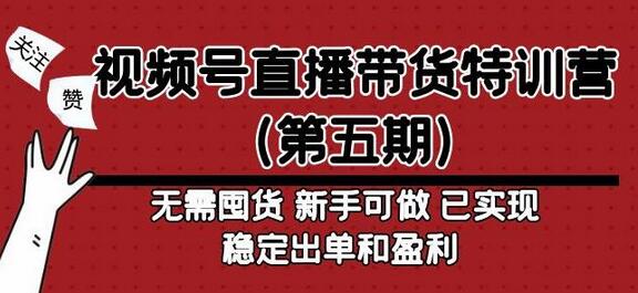 视频号直播带货特训营（第五期）无需囤货，新手可做，已实现稳定出单和盈利-鲤鱼笔记