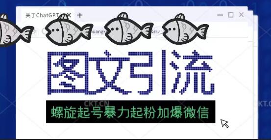 23年价值1980的图文引流创业粉螺旋起好技术暴力起粉加爆微信-鲤鱼笔记