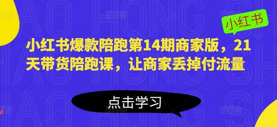 小红书爆款陪跑第14期商家版，21天带货陪跑课，让商家丢掉付流量-鲤鱼笔记