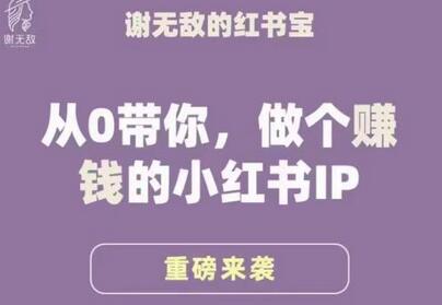 谢无敌·小红书运营大宝典，从0带你做个赚钱的小红书IP-鲤鱼笔记