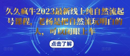 久久疯牛2023最新线上纯自然流起号课程，老杨是把自然流玩明白的人，可以闭眼上车-鲤鱼笔记