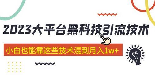 价值4899的大平台黑科技引流技术 小白也能靠这些技术混到月入1w+29节课(2022年的课程）-鲤鱼笔记