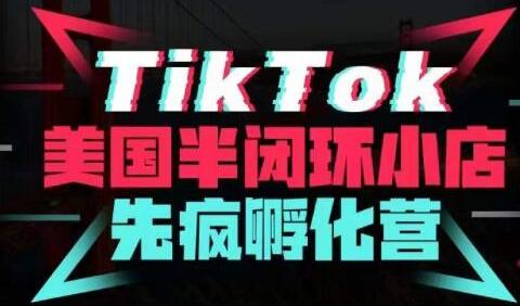 疯人院·TikTok美国半闭环小店孵化营，抢占TikTok美国蓝海市场，开店、运营、带货、投流全实操-鲤鱼笔记