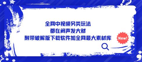 全网中视频另类玩法，都在闷声发大财，附带下载软件加全网最大素材库-鲤鱼笔记