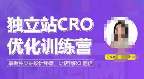 独立站CRO优化训练营，掌握独立站设计秘籍，打造高转化的独立站，让店铺ROI翻倍-鲤鱼笔记