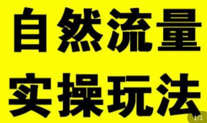 拼多多自然流量天花板，拼多多自然流的实操玩法，自然流量是怎么来的，如何开车带来自然流等知识-蜗牛学社