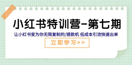 小红书特训营-第七期 让小红书变为你无限复制的/提款机 低成本引流快速出单-鲤鱼笔记