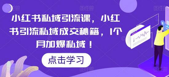 小红书私域引流课，小红书引流私域成交秘籍，1个月加爆私域！-鲤鱼笔记