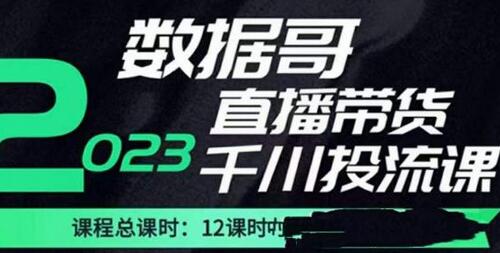 数据哥2023直播电商巨量千川付费投流实操课，快速掌握直播带货运营投放策略-蜗牛学社