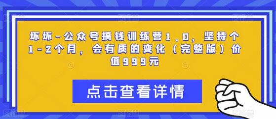 坏坏-公众号搞钱训练营1.0，坚持个1-2个月，会有质的变化（完整版）价值999元-鲤鱼笔记