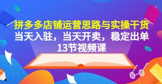 拼多多店铺运营思路与实操干货，当天入驻，当天开卖，稳定出单（13节课）-鲤鱼笔记