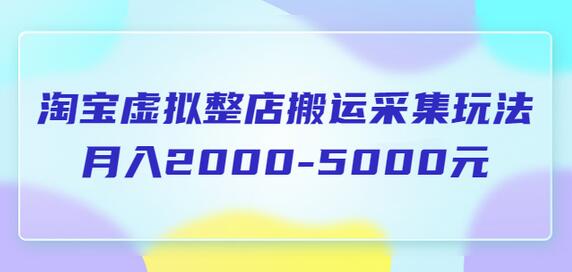 淘宝虚拟整店搬运采集玩法分享课：月入2000-5000元（5节课）-鲤鱼笔记