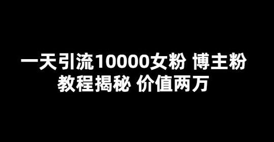 一天引流10000女粉，博主粉教程揭秘（价值两万）-鲤鱼笔记