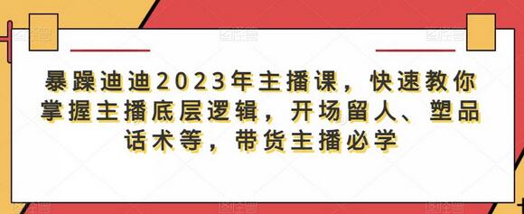 暴躁迪迪2023年主播课，快速教你掌握主播底层逻辑，开场留人、塑品话术等，带货主播必学-鲤鱼笔记