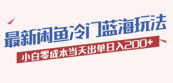 2023最新闲鱼冷门蓝海玩法，小白零成本当天出单日入200+-鲤鱼笔记