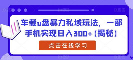 车载u盘暴力私域玩法，一部手机实现日入300+-蜗牛学社