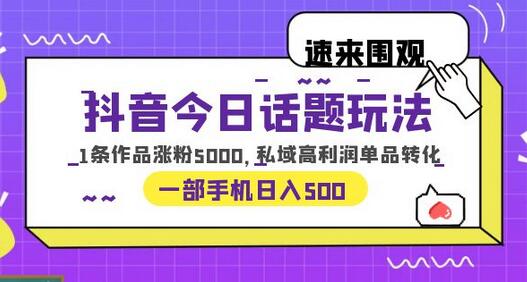 抖音今日话题玩法，1条作品涨粉5000，私域高利润单品转化 一部手机日入500-鲤鱼笔记