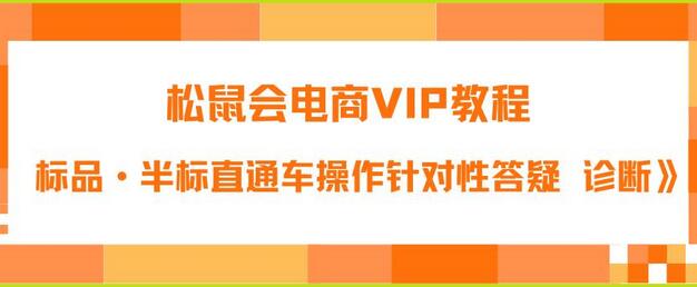 松鼠会电商VIP教程：松鼠《付费推广标品·半标直通车操作针对性答疑&诊断》-鲤鱼笔记