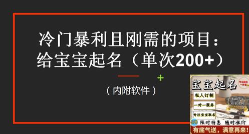 【新课】冷门暴利项目：给宝宝起名（一单200+）内附教程+工具-鲤鱼笔记