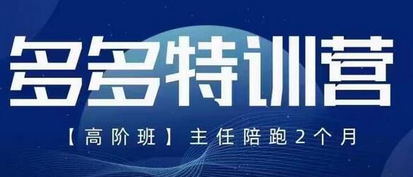 纪主任·5月最新多多特训营高阶班，玩法落地实操，多多全掌握-鲤鱼笔记