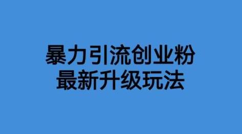 价值1980一千个野路子暴力引流最新升级玩法-鲤鱼笔记