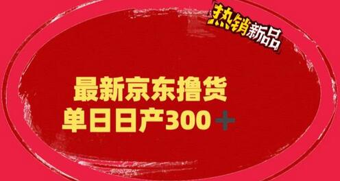 外面最高收费到3980的京东撸货项目，号称日产300+的项目（详细玩法视频教程）-鲤鱼笔记